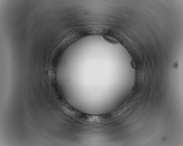 X0000098030091200804181240