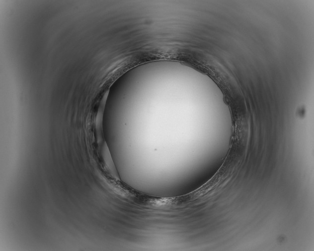 X0000098030092200804181240