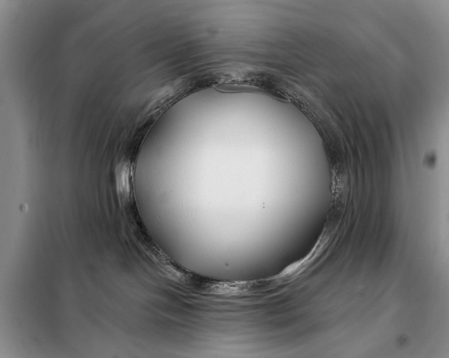 X0000098030094200804181240