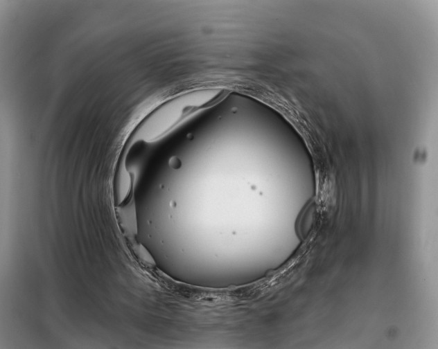 X0000098030099200804181240