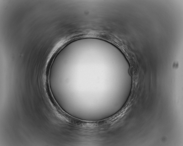 X0000098030102200804181240