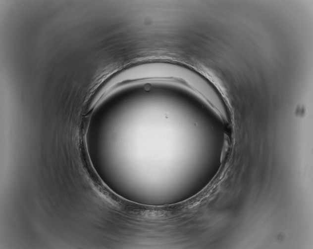 X0000098030105200804181240