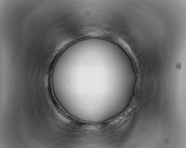 X0000098030106200804181240