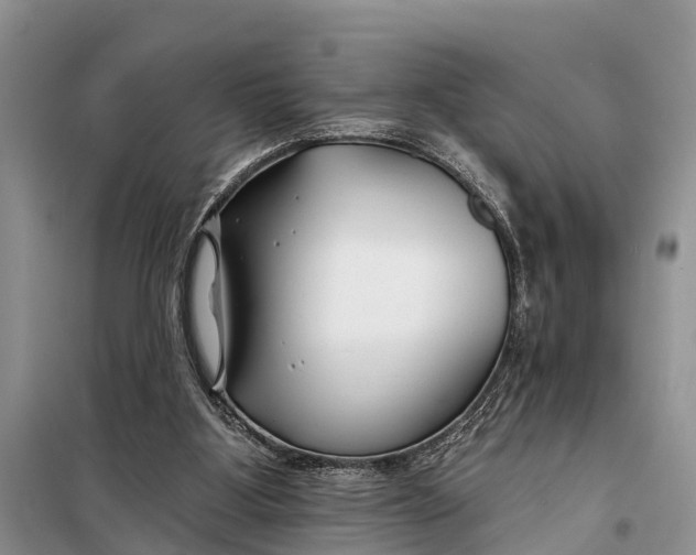 X0000098030107200804181240