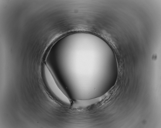 X0000098030108200804181240