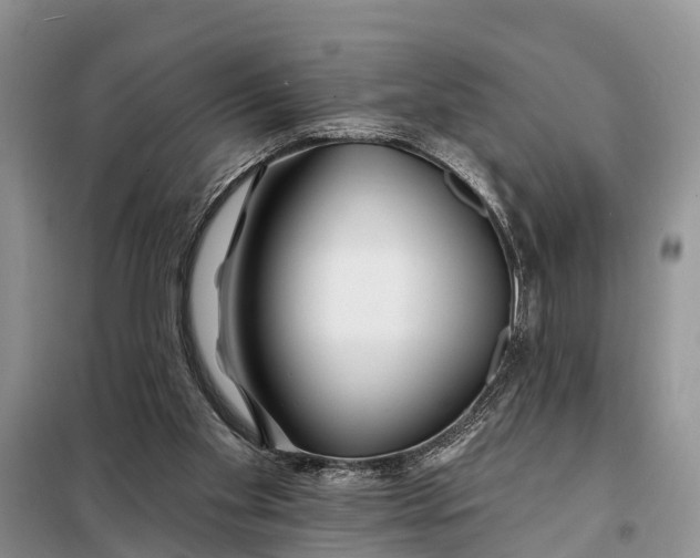 X0000098030109200804181239