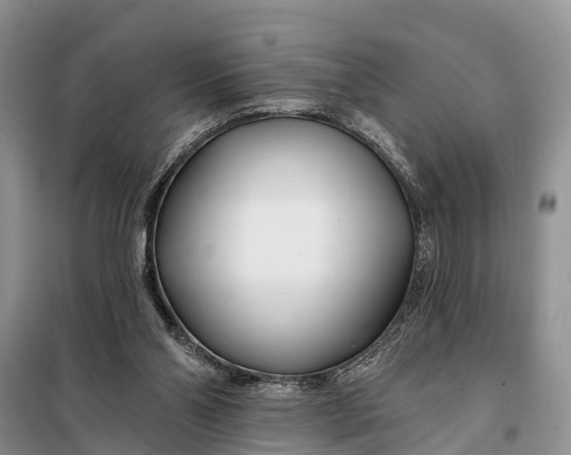 X0000098030110200804181239