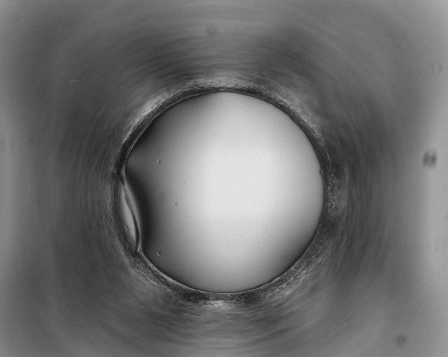 X0000098030111200804181239