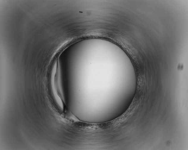 X0000098030112200804181239