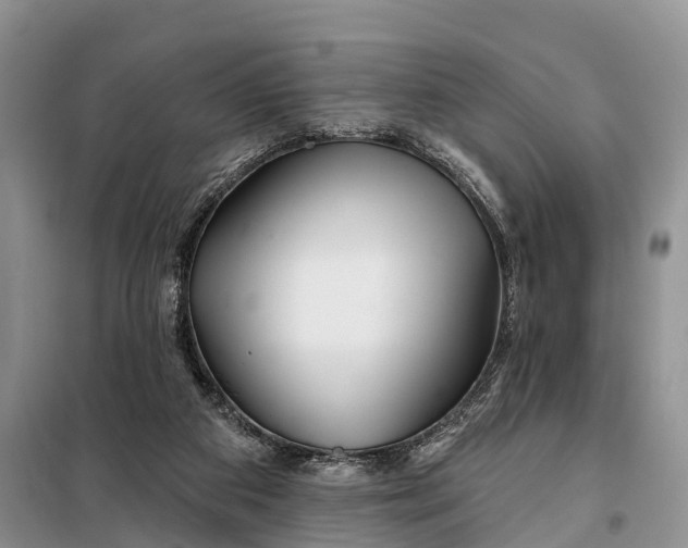 X0000098030113200804181239