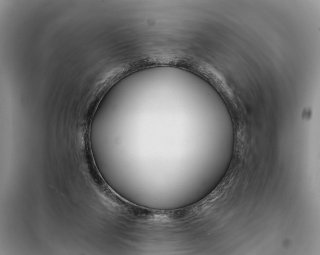 X0000098030114200804181239