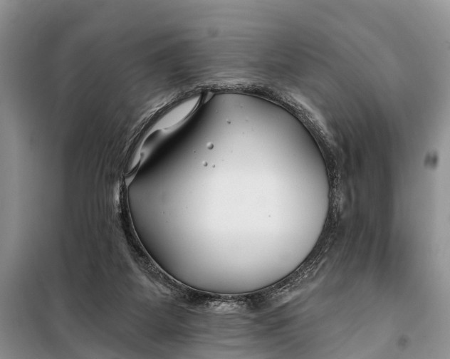 X0000098030115200804181239