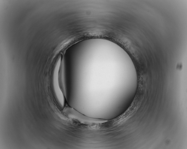 X0000098030116200804181239