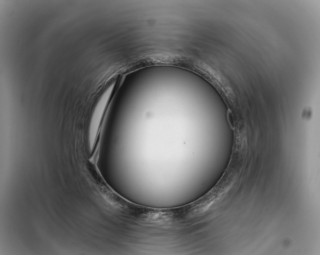 X0000098030117200804181239