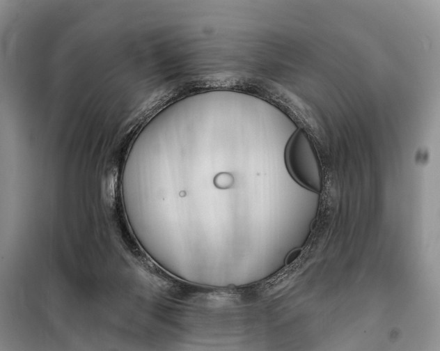 X0000098030118200804181239