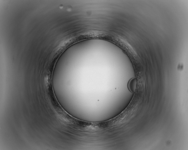 X0000098030119200804181239