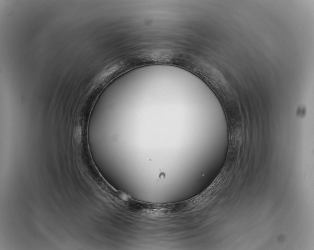 X0000098030120200804181239