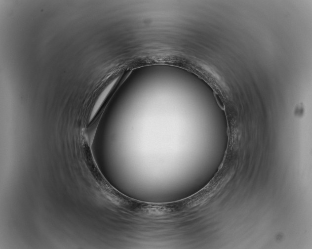 X0000098030121200804181239