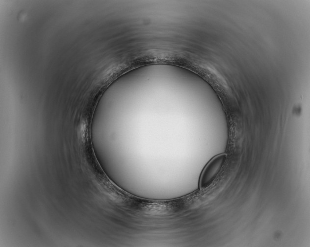 X0000098030123200804181239