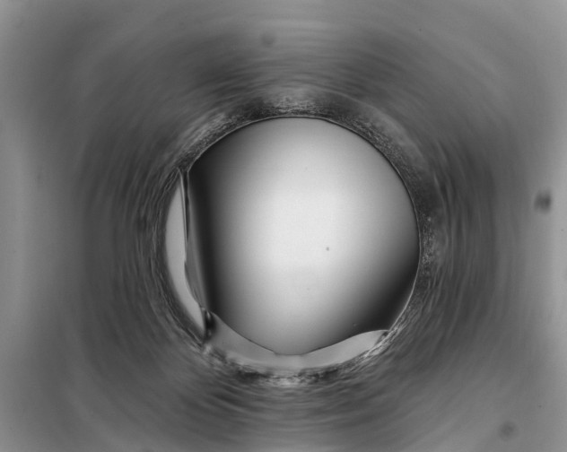 X0000098030124200804181239