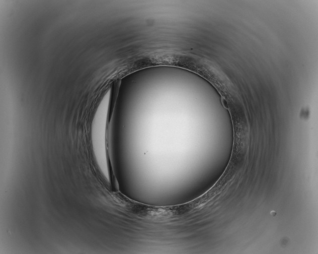 X0000098030125200804181239