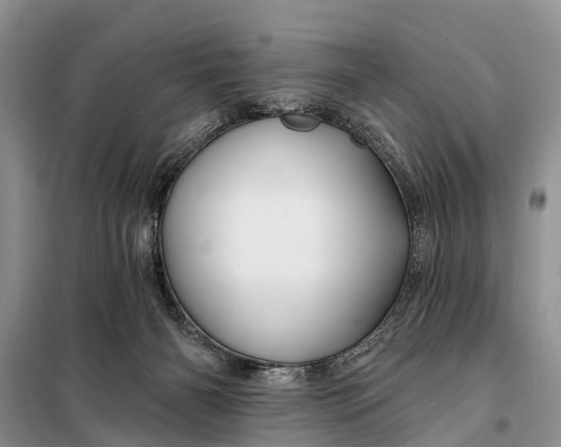 X0000098030126200804181239