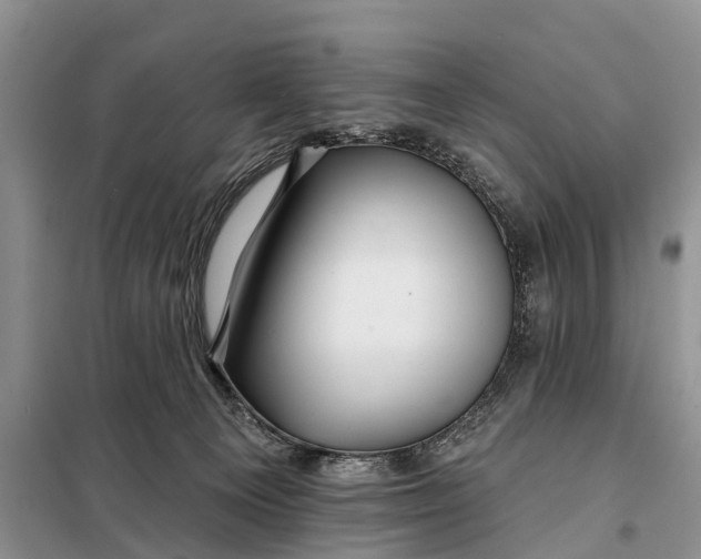 X0000098030129200804181239