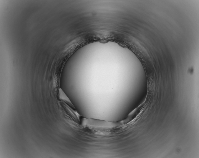 X0000098030132200804181239