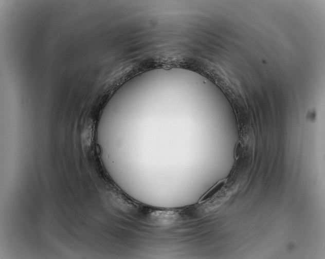 X0000098030133200804181239