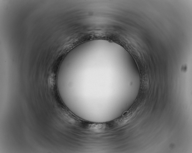 X0000098030135200804181239