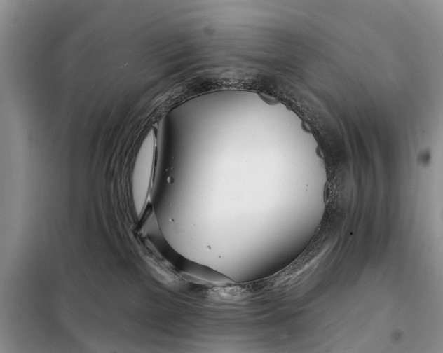 X0000098030137200804181239