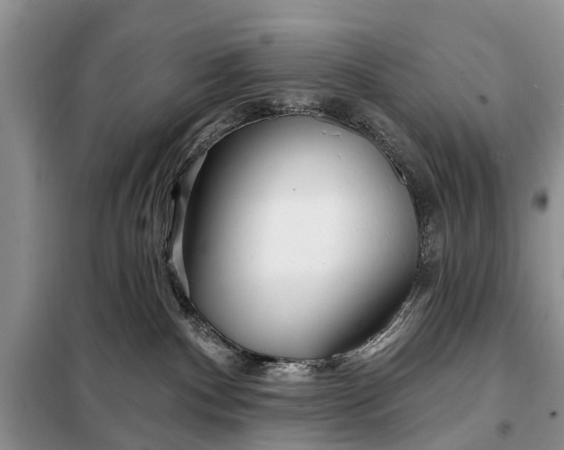 X0000098030140200804181239