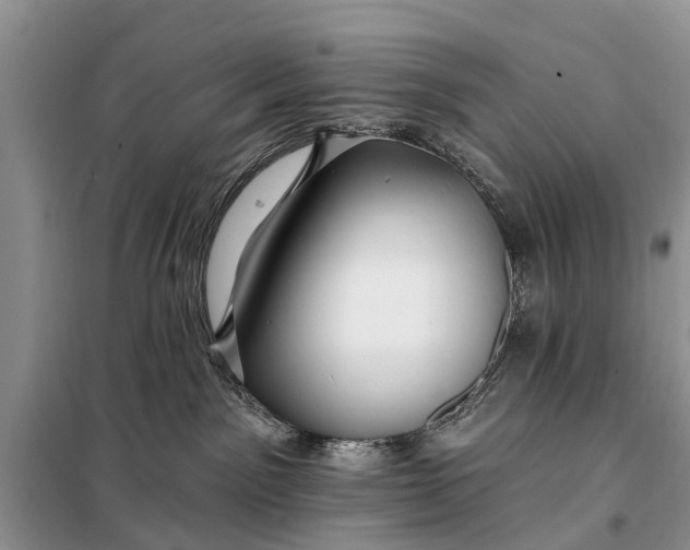 X0000098030141200804181239