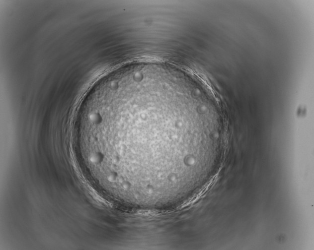 X0000098030145200804181238