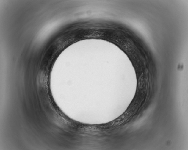 X0000098030146200804181238