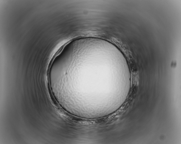 X0000098030147200804181238