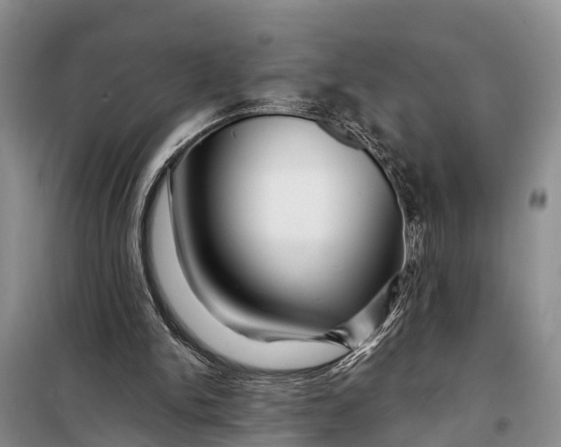 X0000098030150200804181238