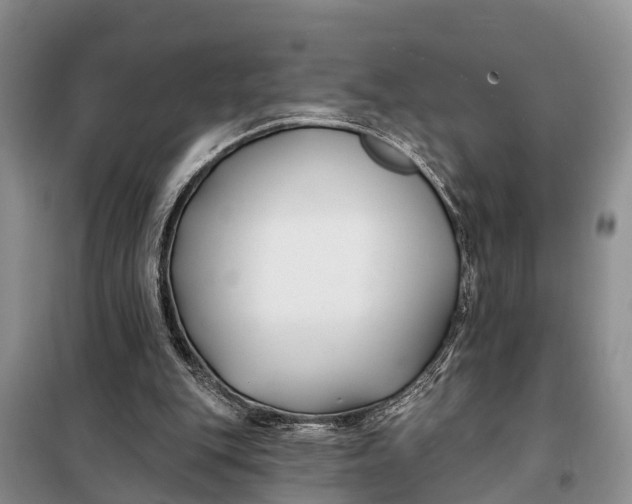 X0000098030151200804181238