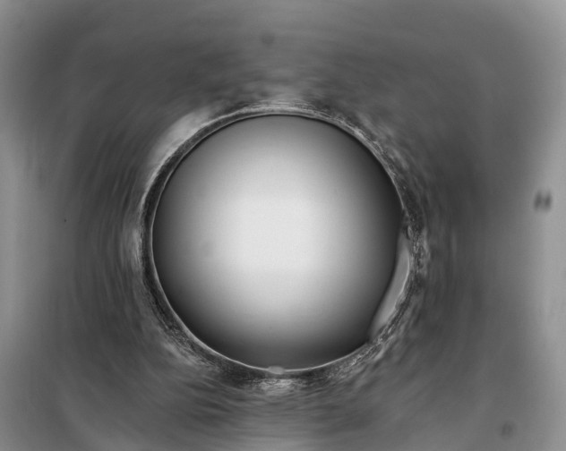 X0000098030152200804181238