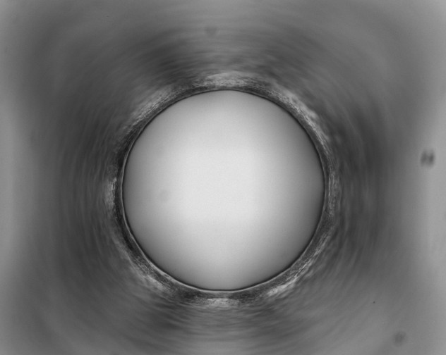 X0000098030153200804181238