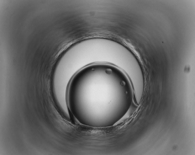 X0000098030154200804181238