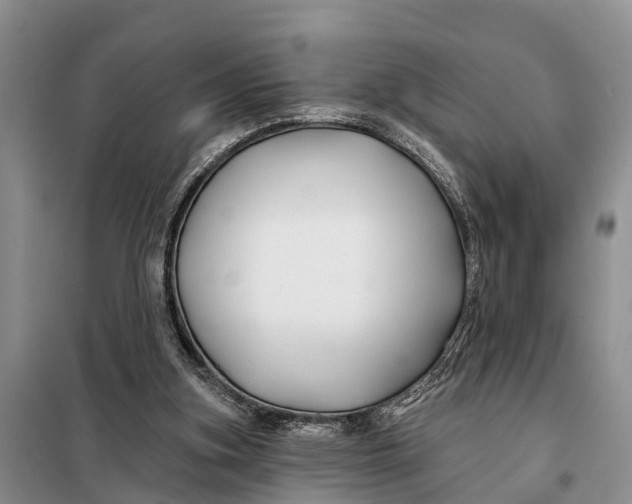 X0000098030155200804181238