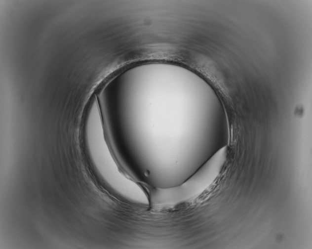 X0000098030156200804181238