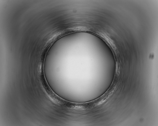 X0000098030157200804181238