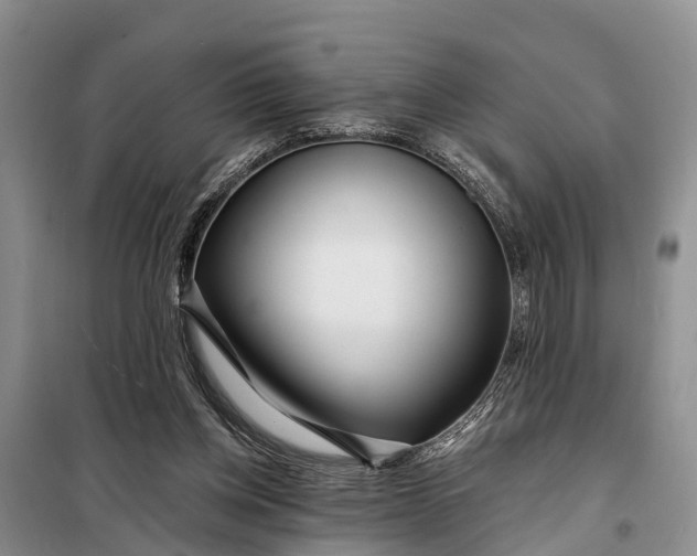 X0000098030158200804181238