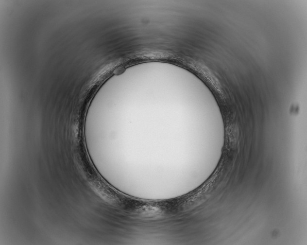 X0000098030159200804181238