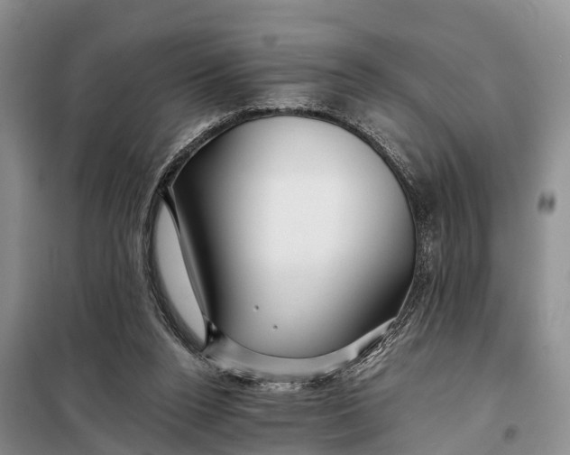 X0000098030160200804181238