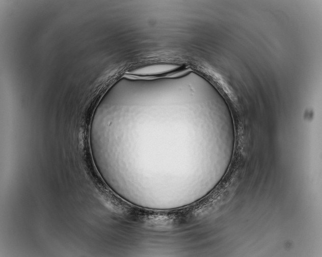 X0000098030161200804181238