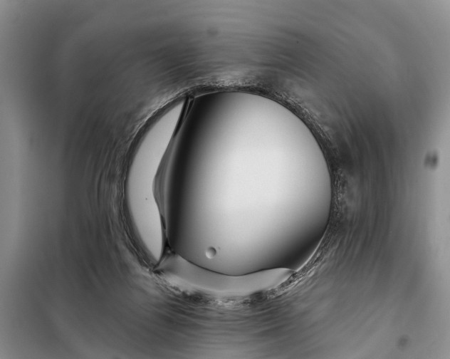 X0000098030164200804181238