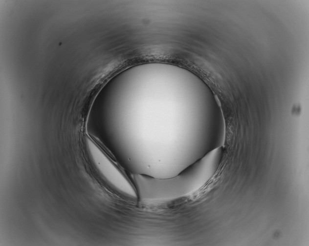 X0000098030168200804181238